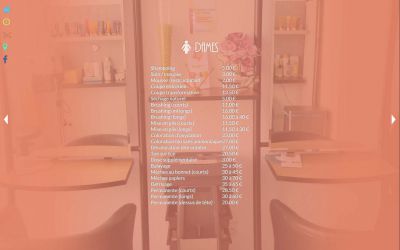 Page des tarifs du salon